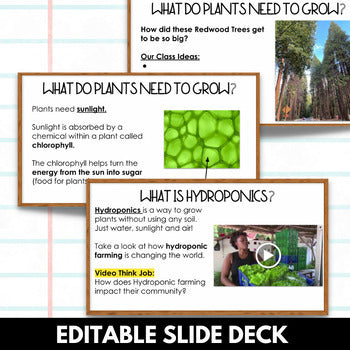 Hydroponics Lesson with Editable Slides and Worksheets