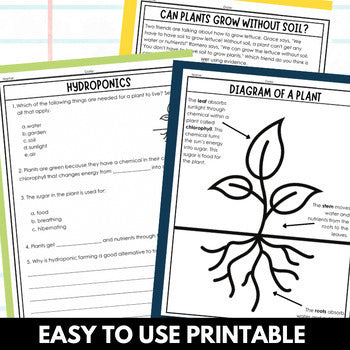 Hydroponics Lesson with Editable Slides and Worksheets