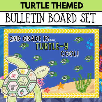 Turtle-themed Back to School Bulletin Board Kit